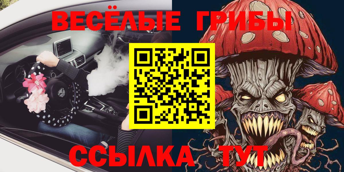 Псилоцибиновые грибы Psilocybe Муром